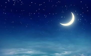 夜读后感100字最新5篇