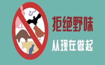 拒绝野味演讲稿优秀8篇
