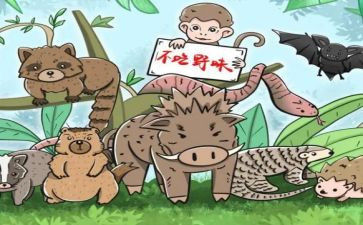 关于健康饮食拒绝野味的演讲稿6篇