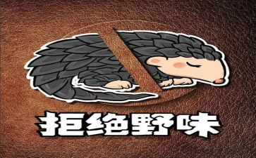 野味从我做起的演讲稿6篇