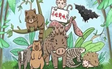 拒绝野味敬畏自然演讲稿7篇