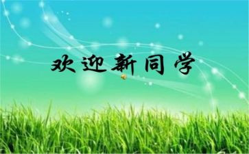 元旦迎新活动方案7篇