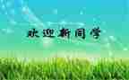 元旦迎新活动方案7篇