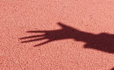 狗和影子的读后感8篇