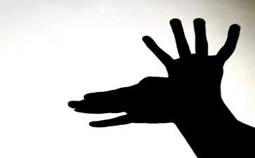 科学影子教案5篇