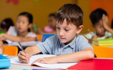 幼儿新教师工作计划通用5篇