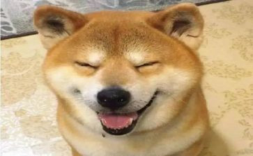 校园最有趣的事作文8篇