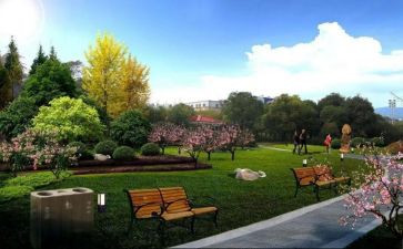 游园后感作文模板7篇