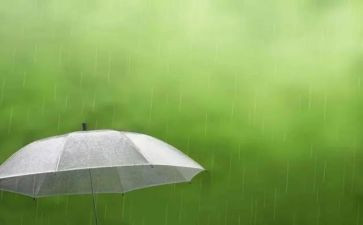 风或雨的作文600字参考6篇