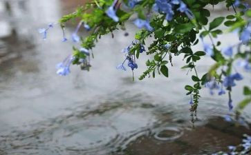 冬天的雨作文100字作文6篇