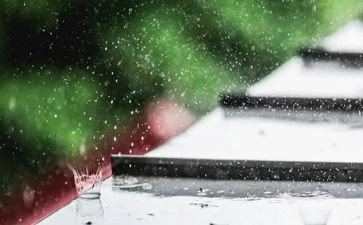 风和雨作文600字初三作文最新8篇