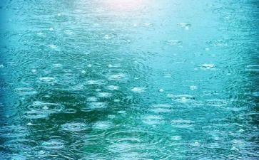 2024年关于暴雨的作文6篇