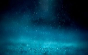 清明雨的作文800字6篇