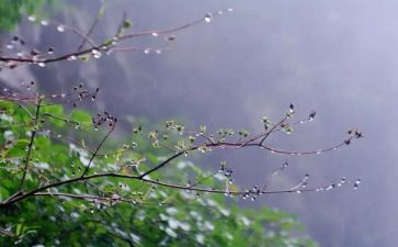 写秋天的雨作文高中作文最新6篇
