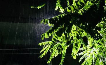 秋天的雨的作文300字通用5篇