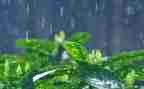下雨天作文400字7篇