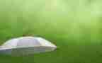 风或雨的作文600字参考6篇