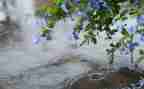 描写秋雨的小作文7篇