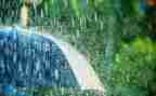 写秋雨的作文400字5篇