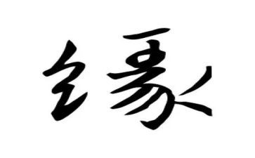 写缘分的作文6篇