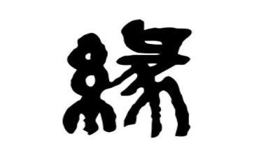 缘来社区护士工作总结优秀7篇