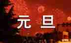 元旦节的作文800字6篇