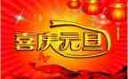 以庆元旦为主题的作文7篇