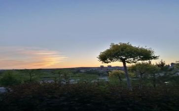 远和近顾城读后感7篇