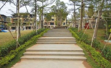园建技术员工作总结优质8篇
