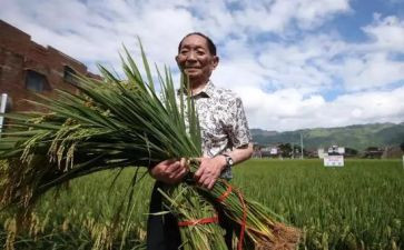 袁隆平的作文通用8篇