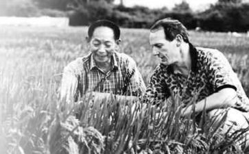 致袁隆平演讲稿8篇