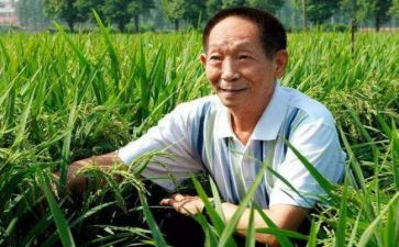 袁隆平的作文优秀5篇