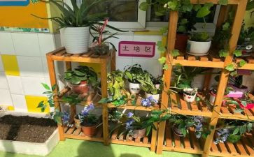 幼儿园培训说课心得体会总结5篇