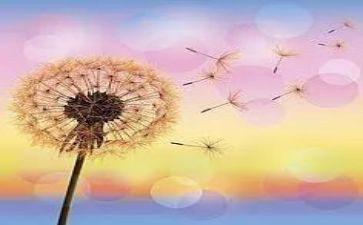 约定优秀作文5篇