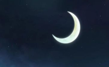 语言《月亮》教案8篇