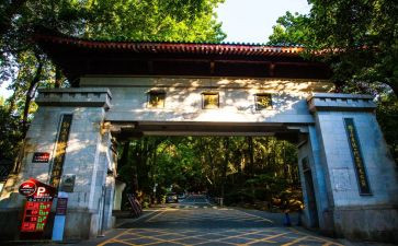 游岳麓山的作文600字8篇