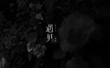 美丽的遇见作文600字6篇