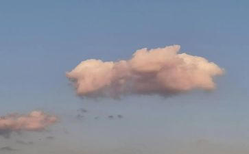水和云作文800字精选5篇