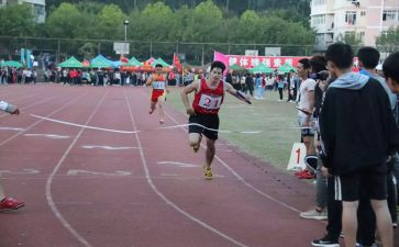 2024奥运会心得体会精选8篇