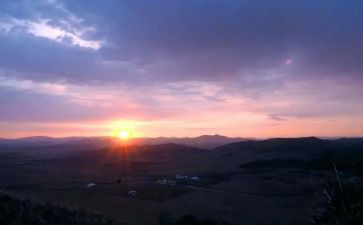 早上起的作文8篇