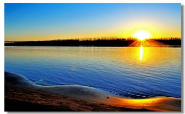 早教师工作总结推荐5篇