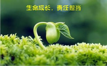 责任在作文600字参考7篇