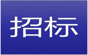 非招标工作总结优秀8篇