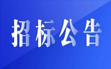 市招标办工作总结最新8篇