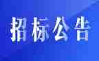 市招标办工作总结最新8篇