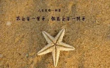 哲理与人生演讲稿精选5篇