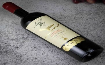 作文我珍藏的记忆400字5篇