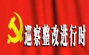 党建工作整改报告6篇