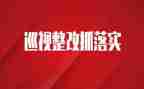 领导的整改报告8篇