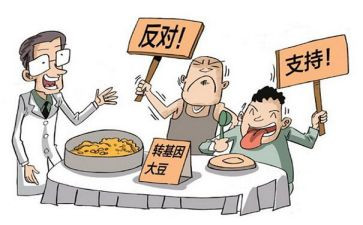 6与9的争论作文参考7篇